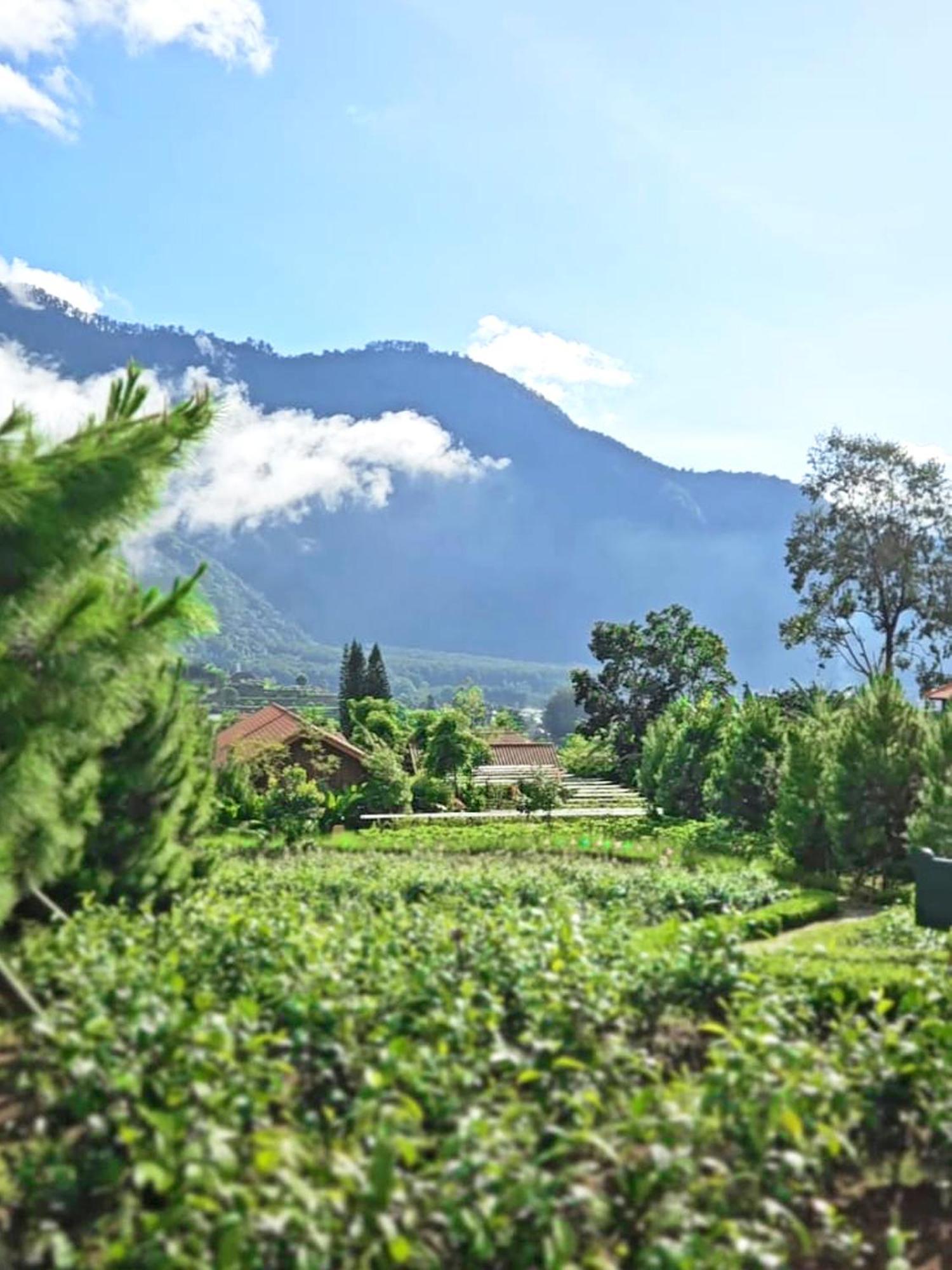 Hotel Dusun Bedugul Asri Exterior foto