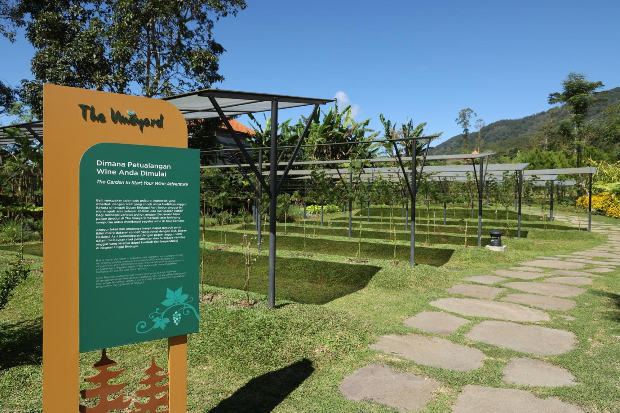 Hotel Dusun Bedugul Asri Exterior foto