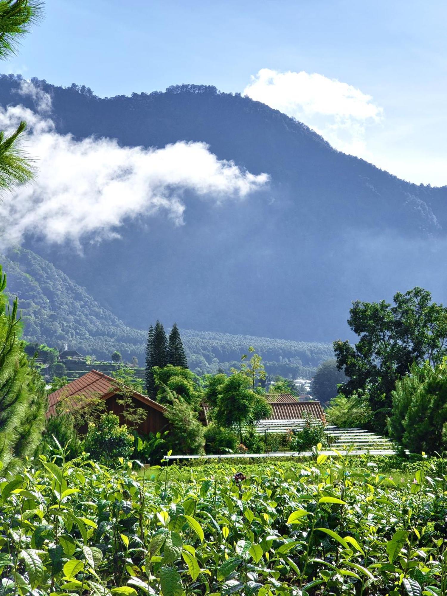 Hotel Dusun Bedugul Asri Exterior foto